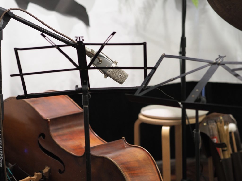 Sony C38b on Double Bass